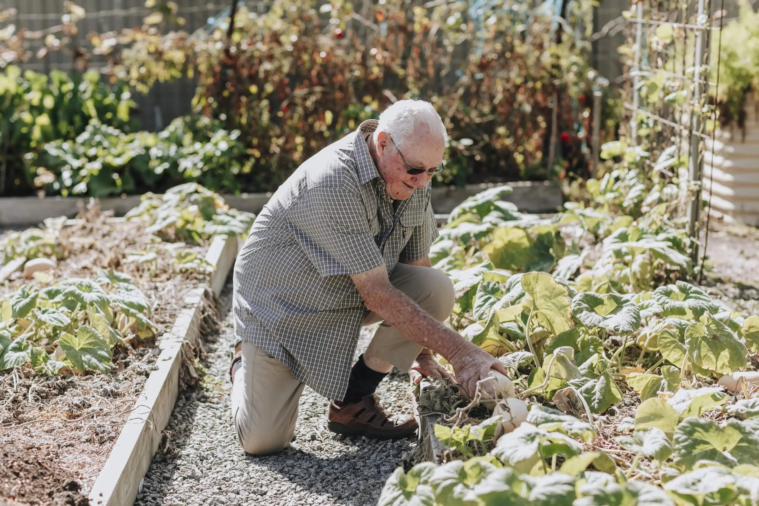 Elderly man gardening St Ives