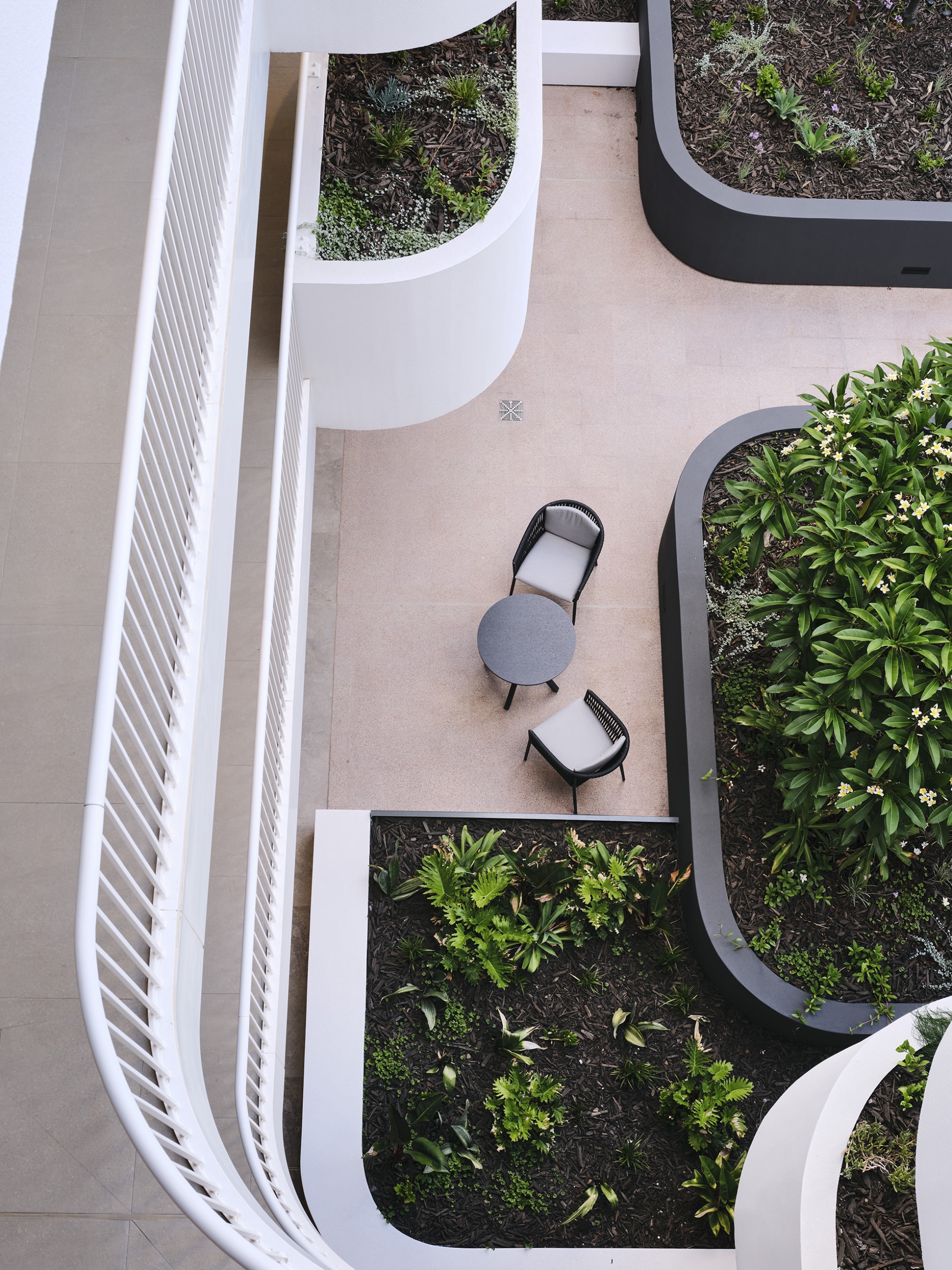 Carine Stage 2 Courtyard